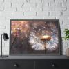 93855-159.jpg Dandelion Seeds Flower Head in Close Up Framed Poster