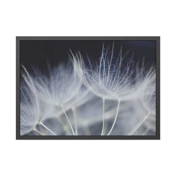 93855-180.jpg Macro Flower Detail Framed Poster