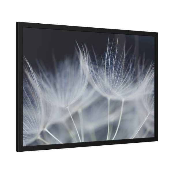 93855-181.jpg Macro Flower Detail Framed Poster