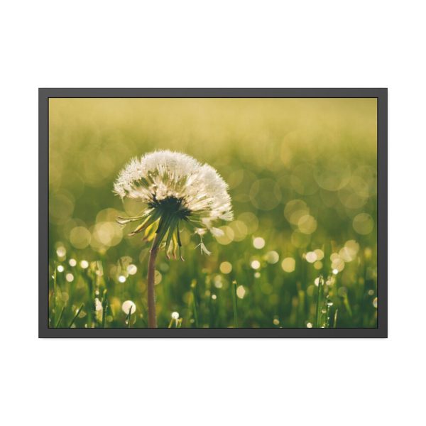 93855-184.jpg Dandelion in Dewey Grassy Area Framed Poster