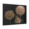Giant Dandelion Framed Poster