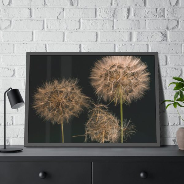 Giant Dandelion Framed Poster