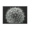 Dandelion Light Effect Framed Poster
