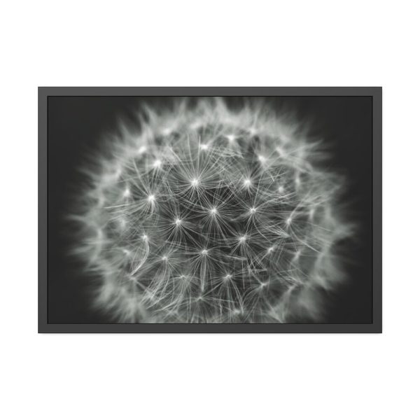 Dandelion Light Effect Framed Poster