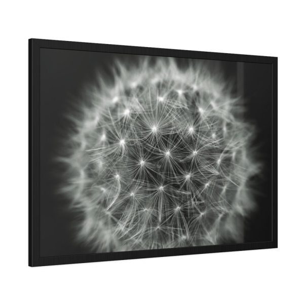Dandelion Light Effect Framed Poster