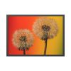 93855-212.jpg Dandelion on Yellow Background Framed Poster