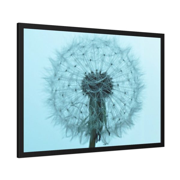93855-217.jpg Dandelion Puffball Puff Framed Poster