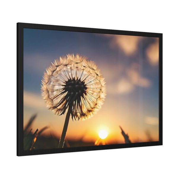 93855-245.jpg Dandelion in Golden Hour Framed Poster