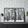 93855-363.jpg Old Mammoth Road Framed Poster