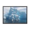 93855-408.jpg Polar Ice Caps Framed Poster