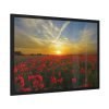 93855-445.jpg Flower Field in Sunset Framed Poster