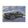 101875-130.jpg Ford Mustang Poster