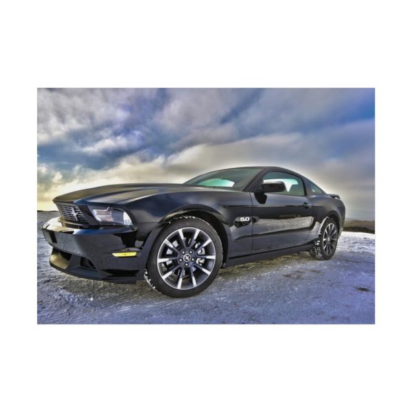 101875-130.jpg Ford Mustang Poster
