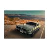 101875-135.jpg Mustang on the Road Poster