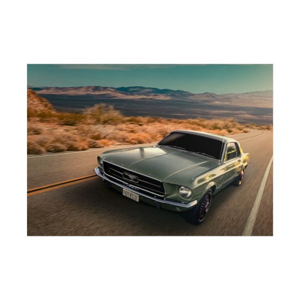 101875-135.jpg Mustang on the Road Poster