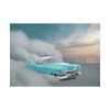 101875-150.jpg Cadillac in Desert Poster