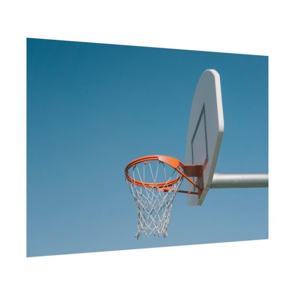 101875-192.jpg Outdoor Basketball Net Poster