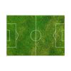 Soccer Field Poster