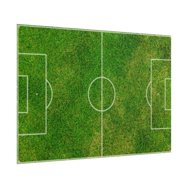 Soccer Field Poster