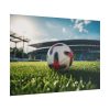 Soccer Ball On The Field Poster