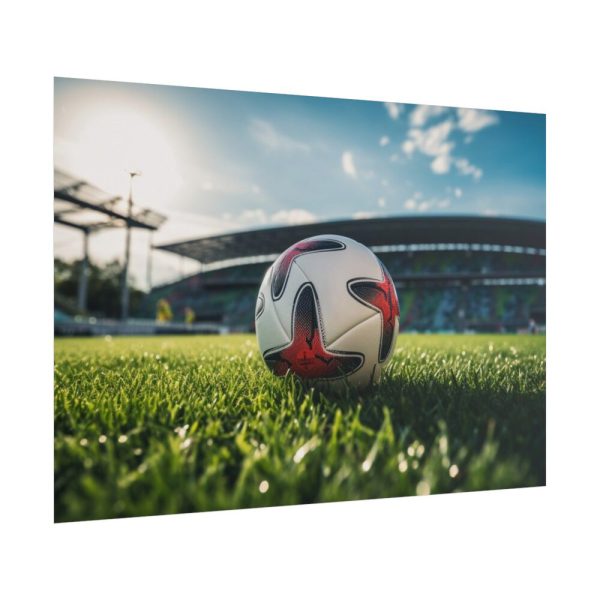 Soccer Ball On The Field Poster