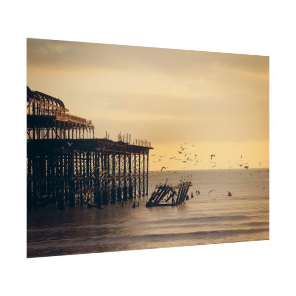 Pier Seagull Ocean Poster