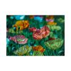 101875-425.jpg Colorful Blooming Poppies Poster
