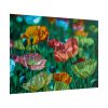 101875-427.jpg Colorful Blooming Poppies Poster