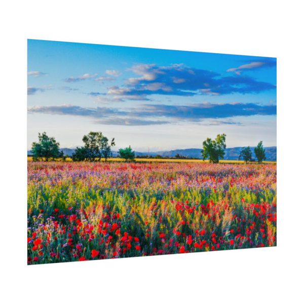 Red Poppy Field Poster