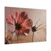 101875-457.jpg Pink Cosmos II Poster