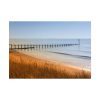 101875-470.jpg Dawlish Warren Beach Poster