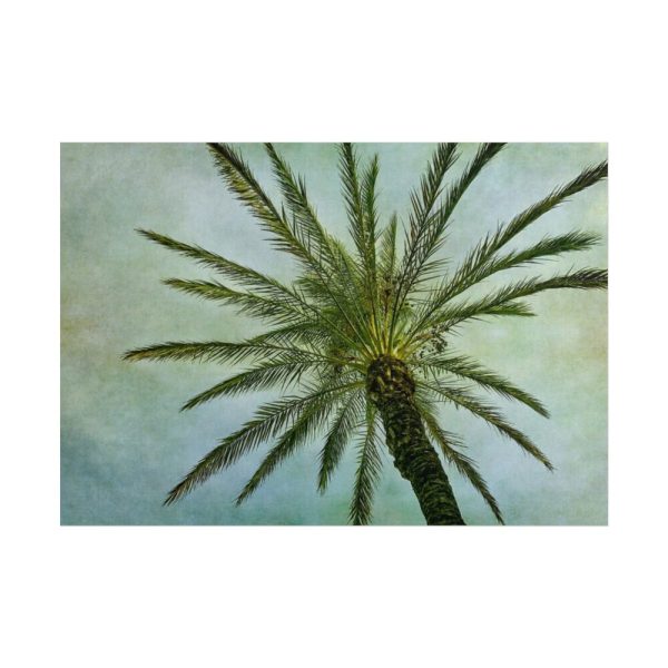 101875-505.jpg Vintage Palm Tree Canopy And Sky Poster