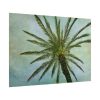 101875-507.jpg Vintage Palm Tree Canopy And Sky Poster