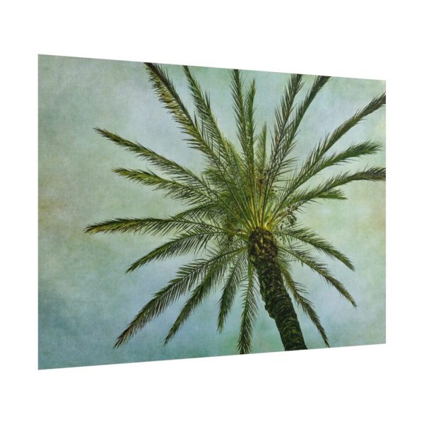 101875-507.jpg Vintage Palm Tree Canopy And Sky Poster