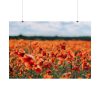 101875-566.jpg Beautiful Red Field Poster