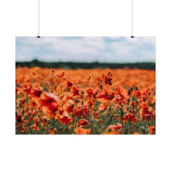 101875-566.jpg Beautiful Red Field Poster