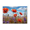 101875-570.jpg Wildflowers Meadow Poster