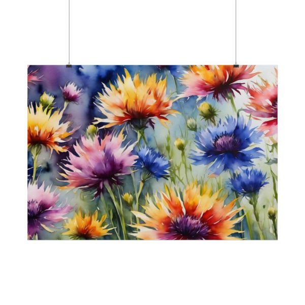 Cornflowers Wildflowers Poster
