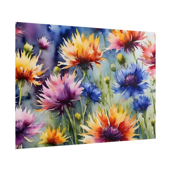 Cornflowers Wildflowers Poster