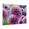 101875-592.jpg Ornamental Allium Flower Poster