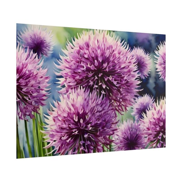 101875-592.jpg Ornamental Allium Flower Poster
