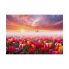Tulip Field In The Morning Poster
