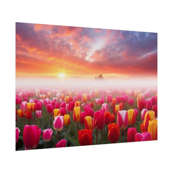 Tulip Field In The Morning Poster
