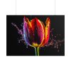 101875-626.jpg Close-up Shot Tulip Poster