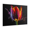 101875-627.jpg Close-up Shot Tulip Poster