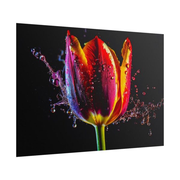 101875-627.jpg Close-up Shot Tulip Poster