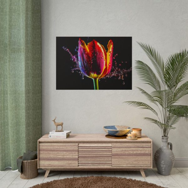 101875-628.jpg Close-up Shot Tulip Poster