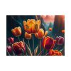 Yellow Tulips Flower Poster