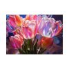 Beautiful Pink Tulips Flowers Poster