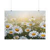 101875-671.jpg Blooming Daisy Field Poster